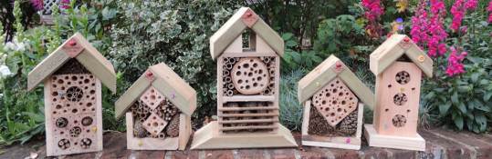insect house all in a row
