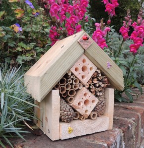 buy an insect house