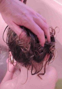 how to prevent head lice